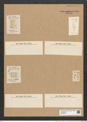 Fragilaria capucina Desm. (de-Toni-Nr.: Genus 73, Species 2734) Zeichnungen Sammlung Grunow Nr. 5584 (NHMW-BOT-W0374057)